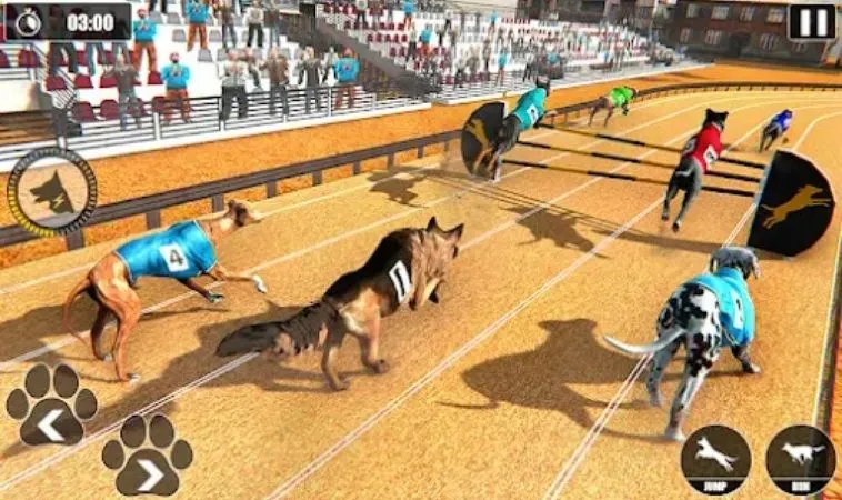 Hướng Dẫn Cách Chơi Game Nhanh Đua Chó Tại 98WIN Chuẩn Xác 2 Giao diện chơi game nhanh Đua Chó tại 98WIN